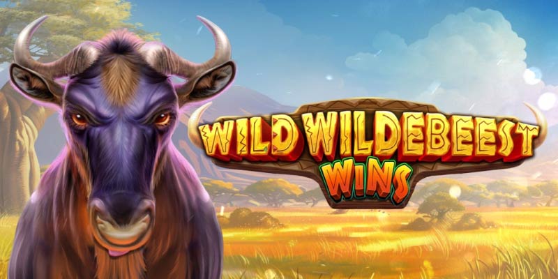 Unleash the Wild Wins of the Wildebeest Slot Adventure